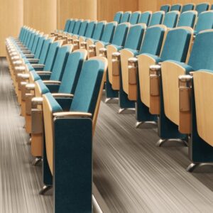 Auditorium chair