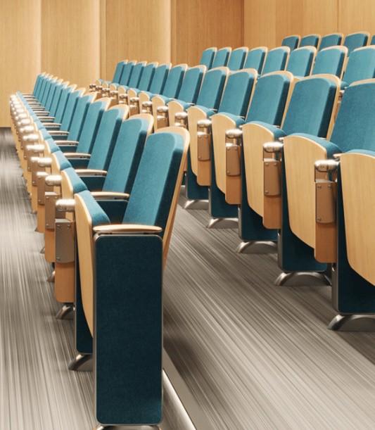 Auditorium Chairs